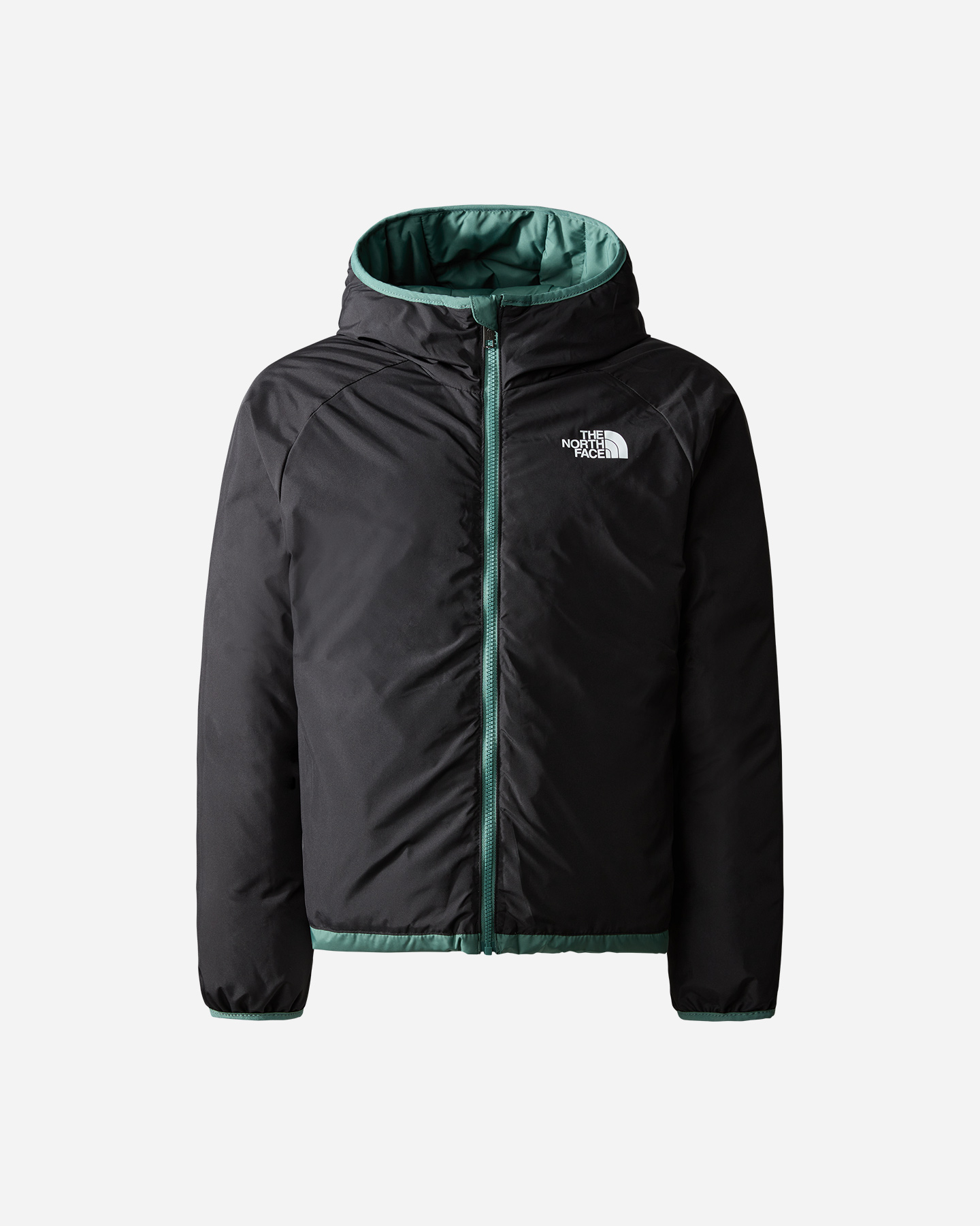 Giubbotto THE NORTH FACE NORTHD JR - 1 | Cisalfa Sport