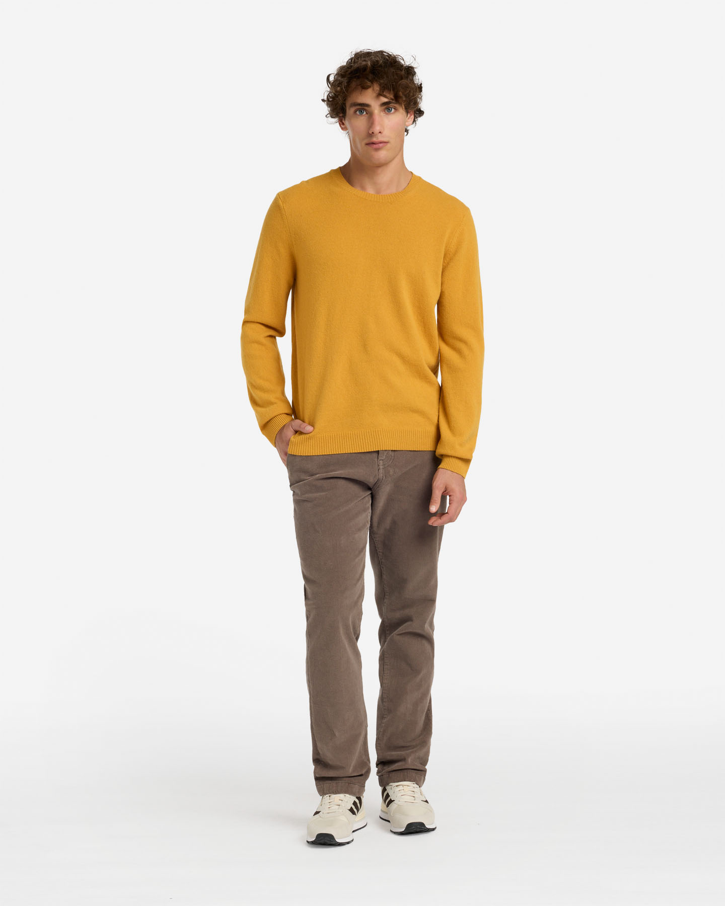 Maglione BEST COMPANY LAMBSWOOL M - Giallo - 1 | Cisalfa Sport