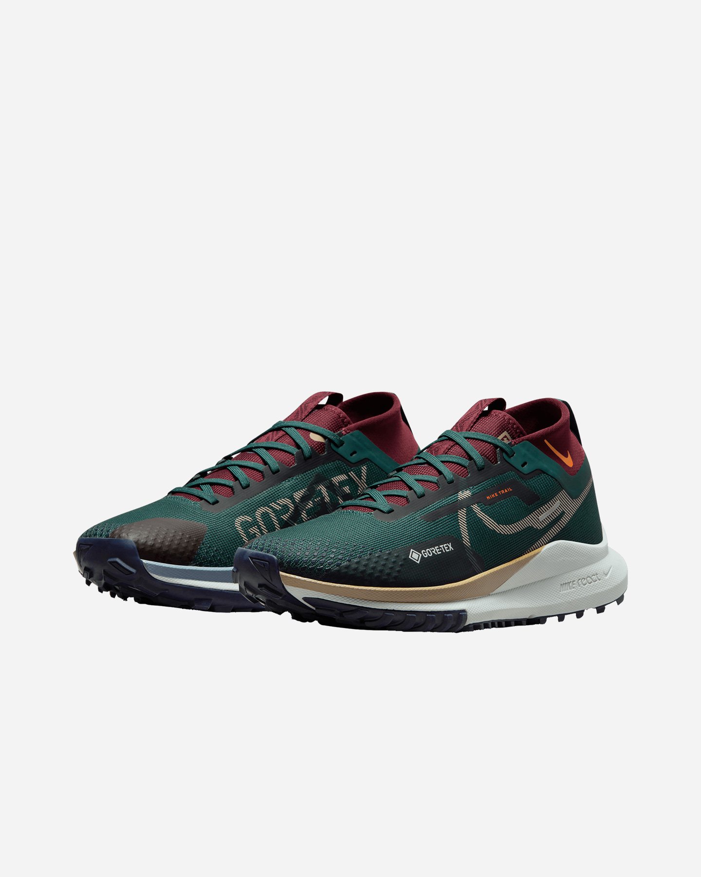 Scarpe trail NIKE PEGASUS TRAIL 4 GTX M - 1 | Cisalfa Sport