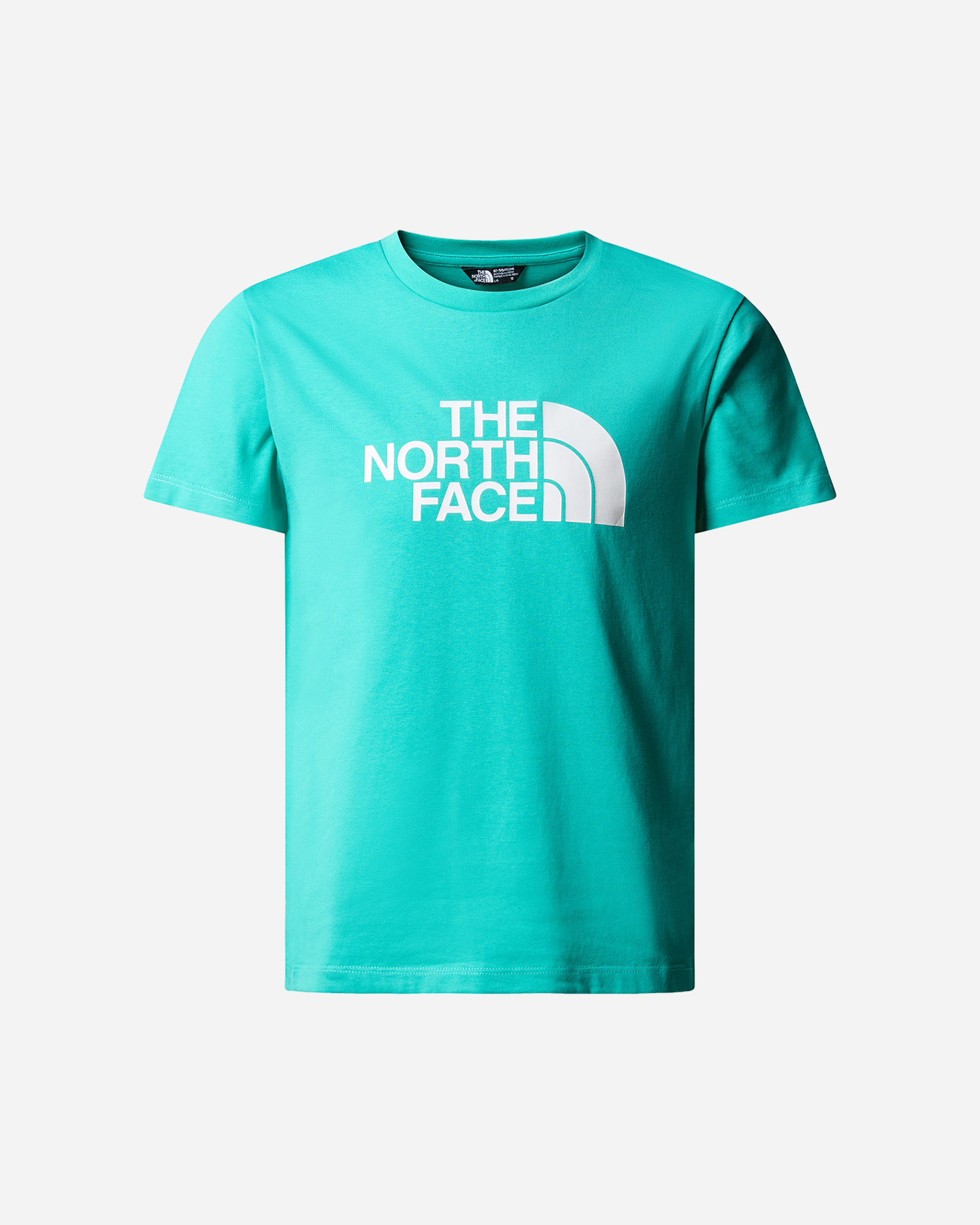 T-shirt THE NORTH FACE EASYTEE GEYSER JR - Azzurro - 0 | Cisalfa Sport