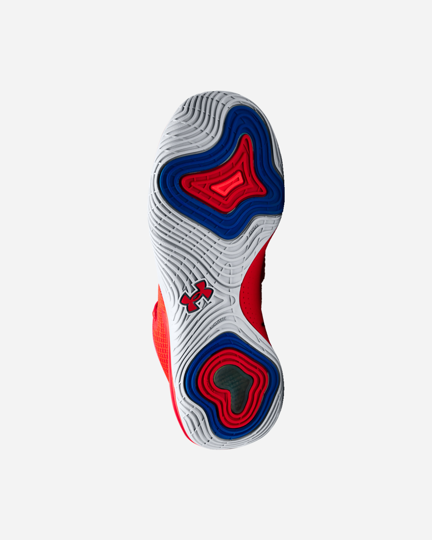 Scarpe basket UNDER ARMOUR EMBIID 1 M - 8 | Cisalfa Sport