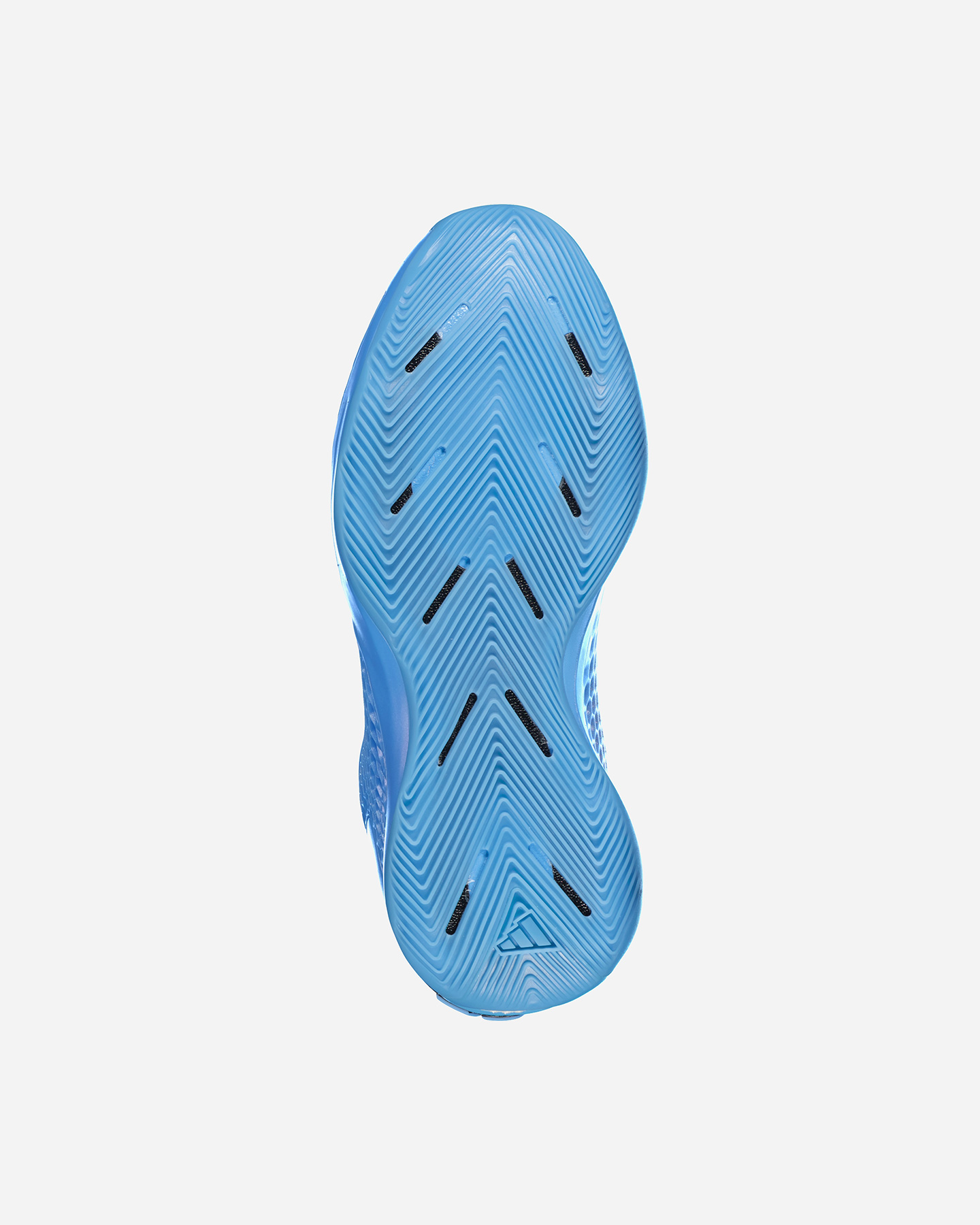 Scarpe basket ADIDAS ANTONY EDWARDS M - Blu - 2 | Cisalfa Sport
