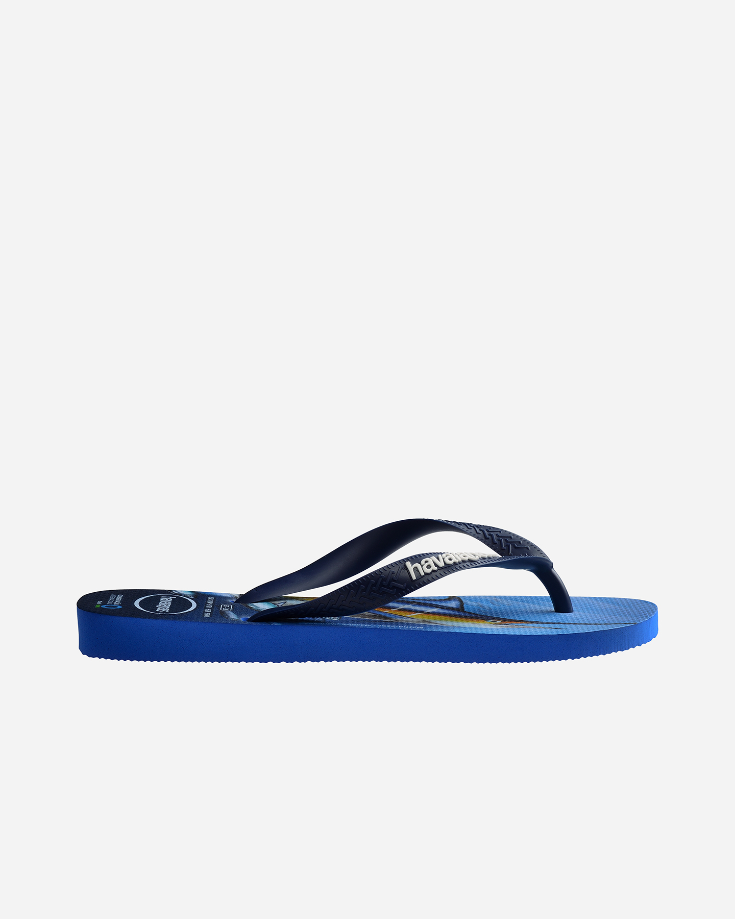 Infradito HAVAIANAS CONSERVACAO M - Blu - 3 | Cisalfa Sport