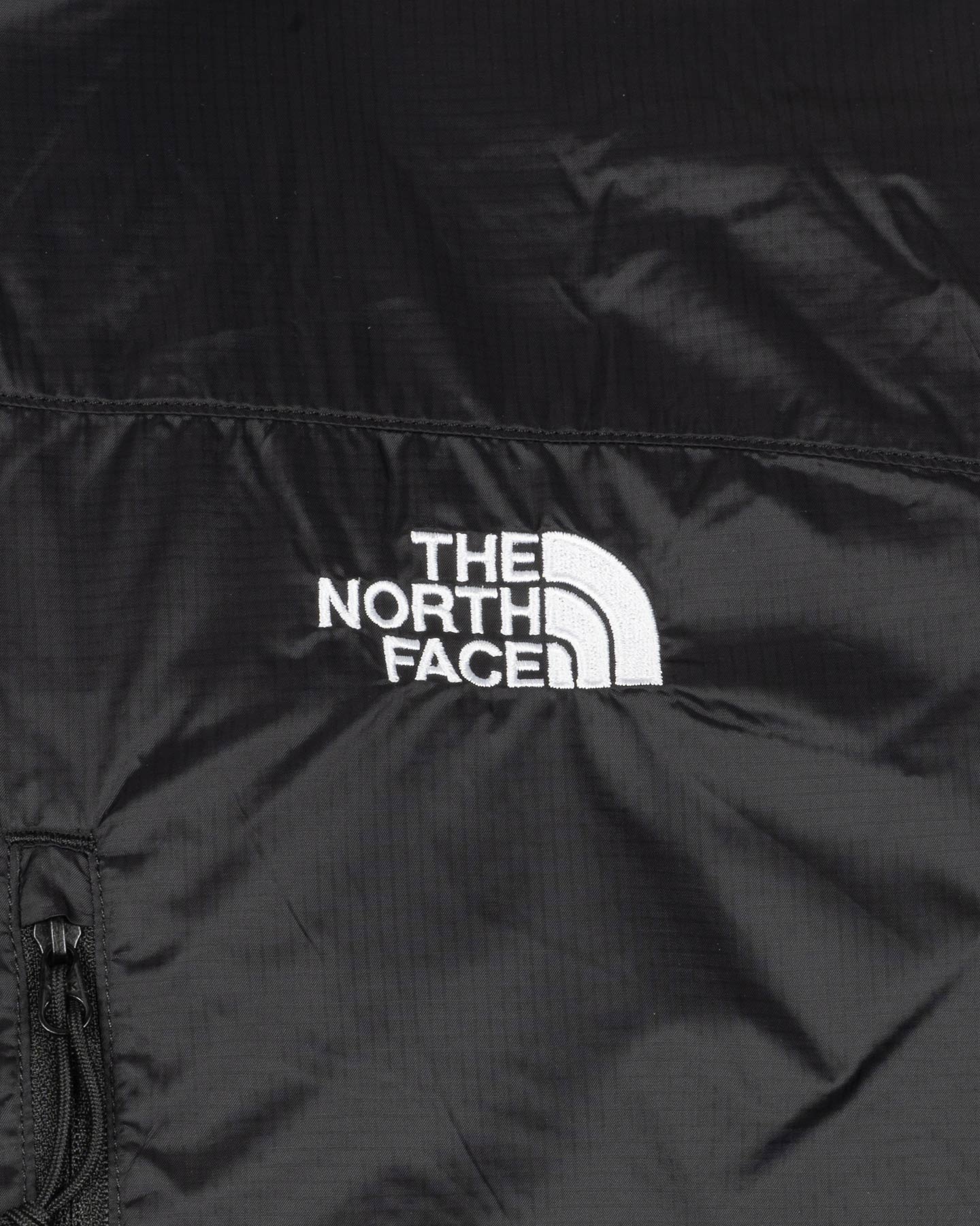 Giubbotto THE NORTH FACE SOFTSHELL M - Nero - 2 | Cisalfa Sport