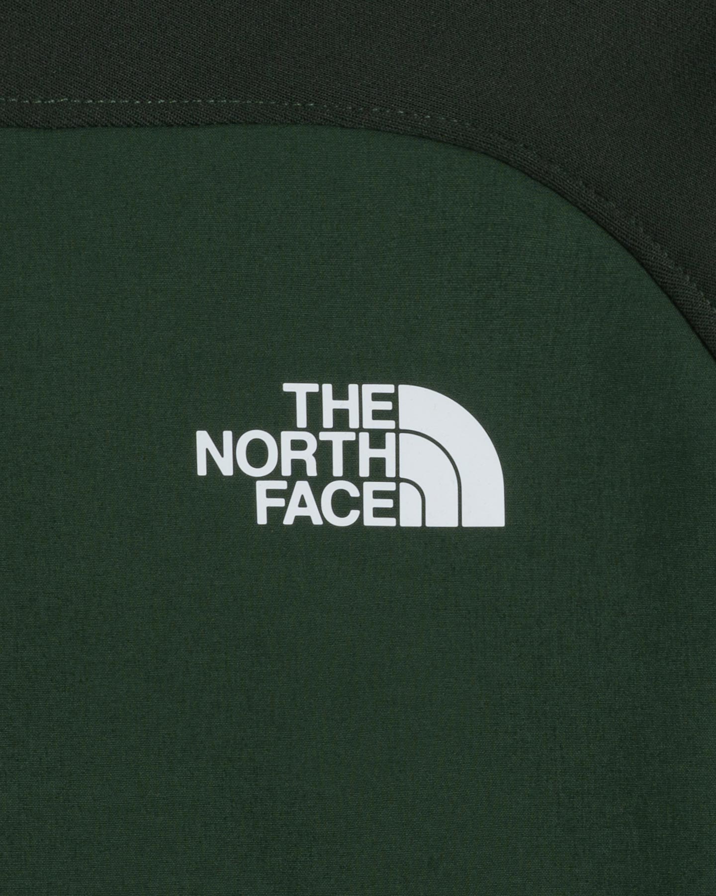 Pile THE NORTH FACE CANYONLANDS HIGH ALTITUDE M - 2 | Cisalfa Sport