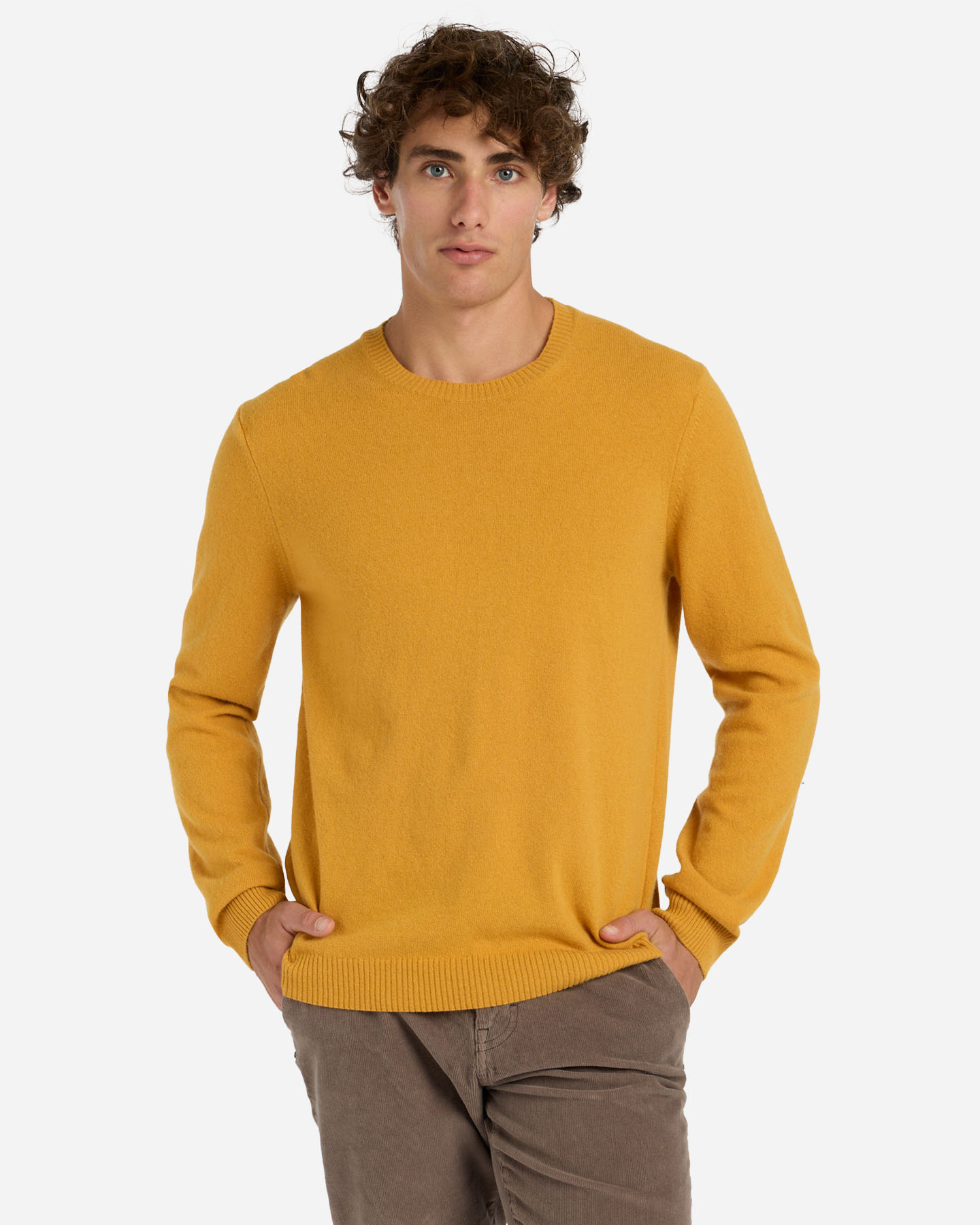 Maglione BEST COMPANY LAMBSWOOL M - Giallo - 0 | Cisalfa Sport