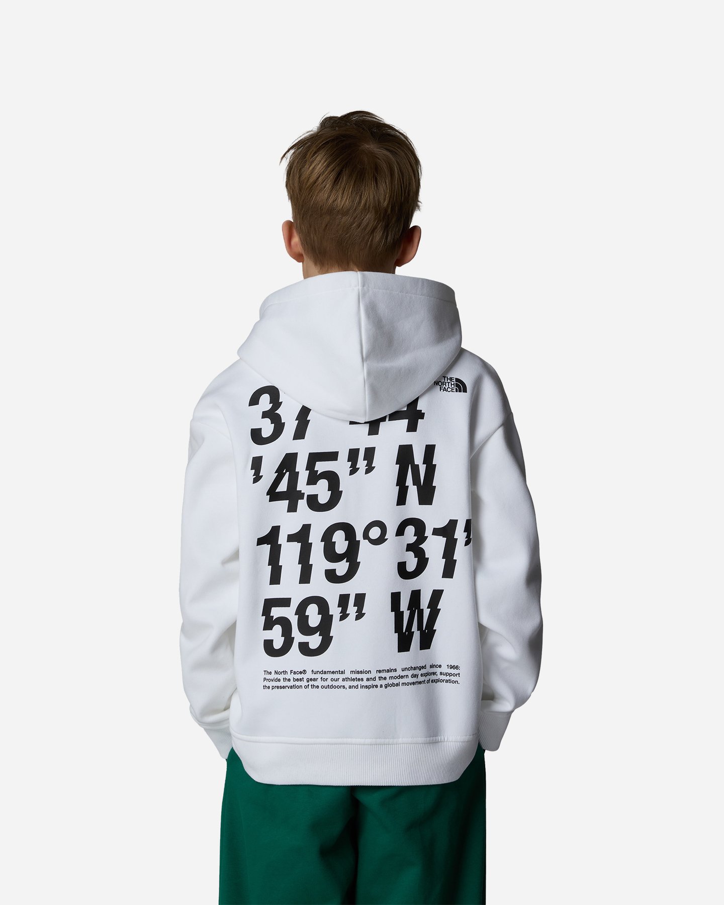 Felpa THE NORTH FACE COORDINATES JR - 3 | Cisalfa Sport